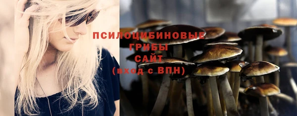 героин Алзамай
