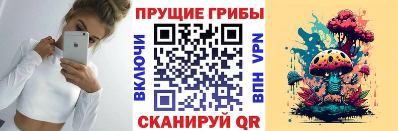 KRAKEN зеркало  Микунь  Галлюциногенные грибы Cubensis  сколько стоит 