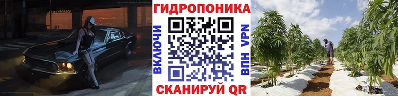Конопля Amnesia  Микунь 